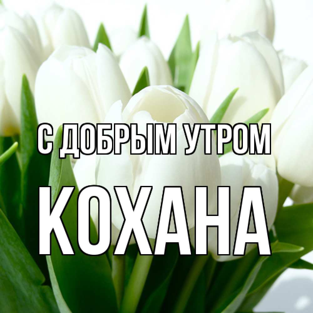Открытка  с именем. Кохана, С добрым утром  