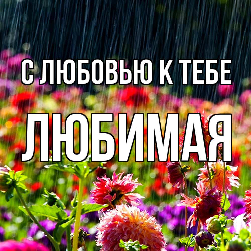 Открытка  с именем. Любимая, С любовью к тебе  