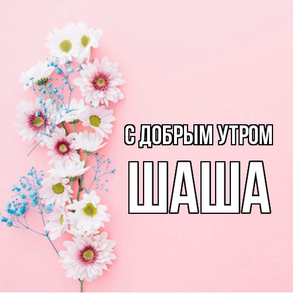 Открытка  с именем. Шаша, С добрым утром  