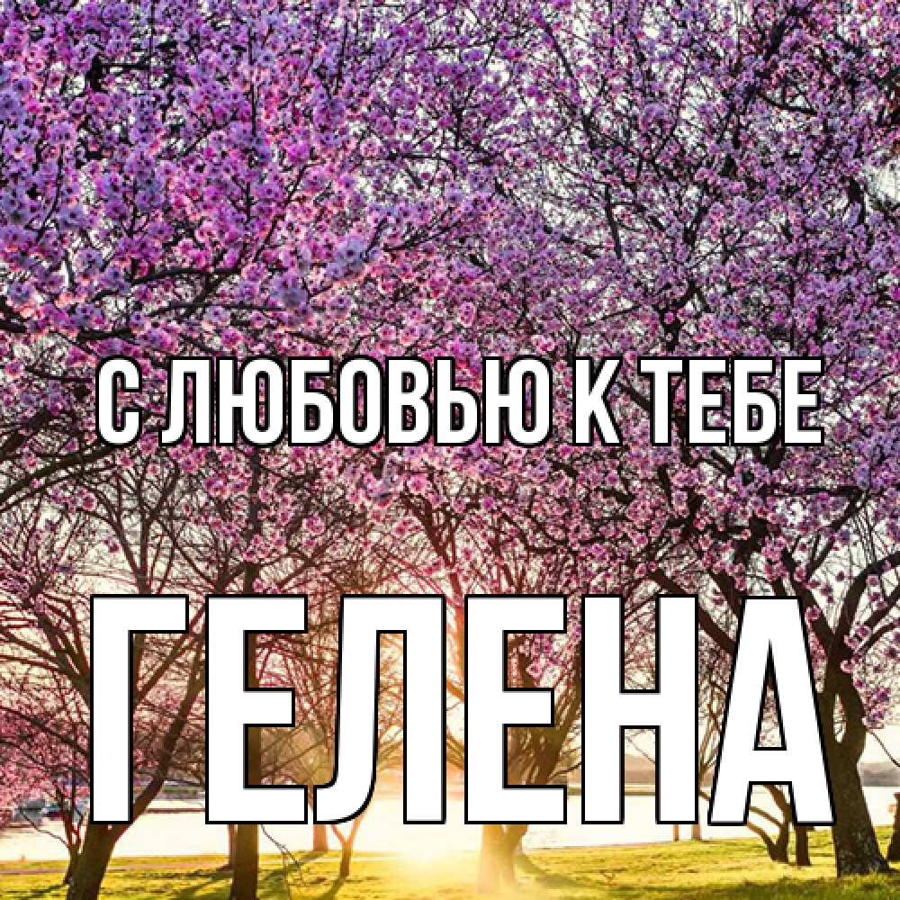 Открытка  с именем. Гелена, С любовью к тебе  