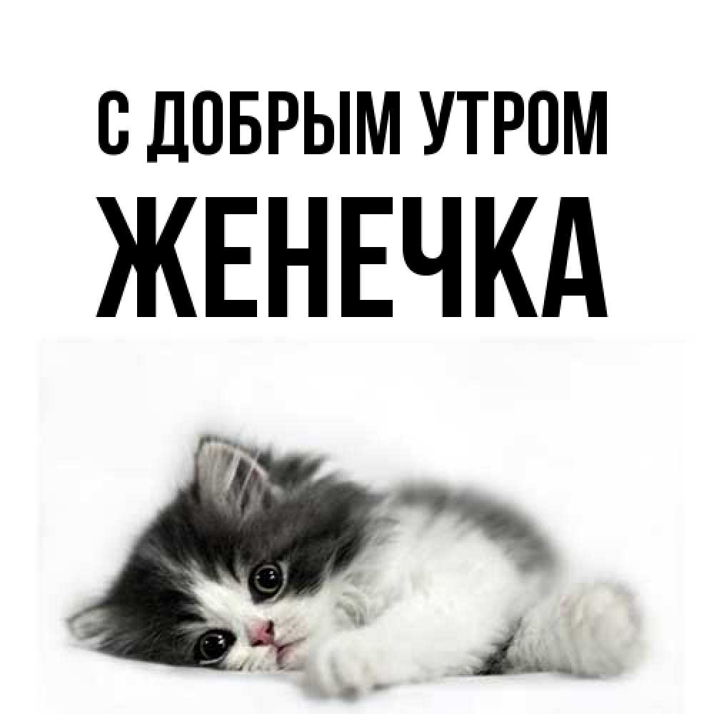 Открытка  с именем. Женечка, С добрым утром  