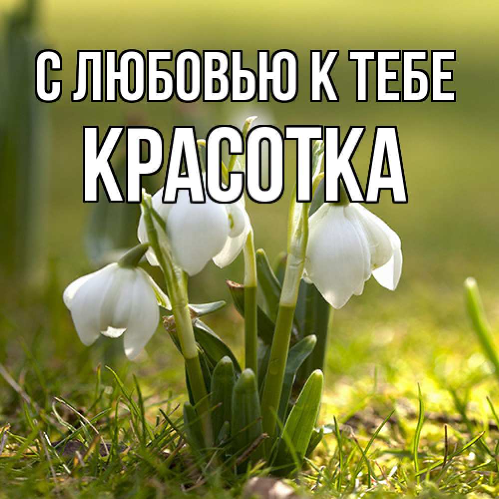 Открытка  с именем. Красотка, С любовью к тебе  