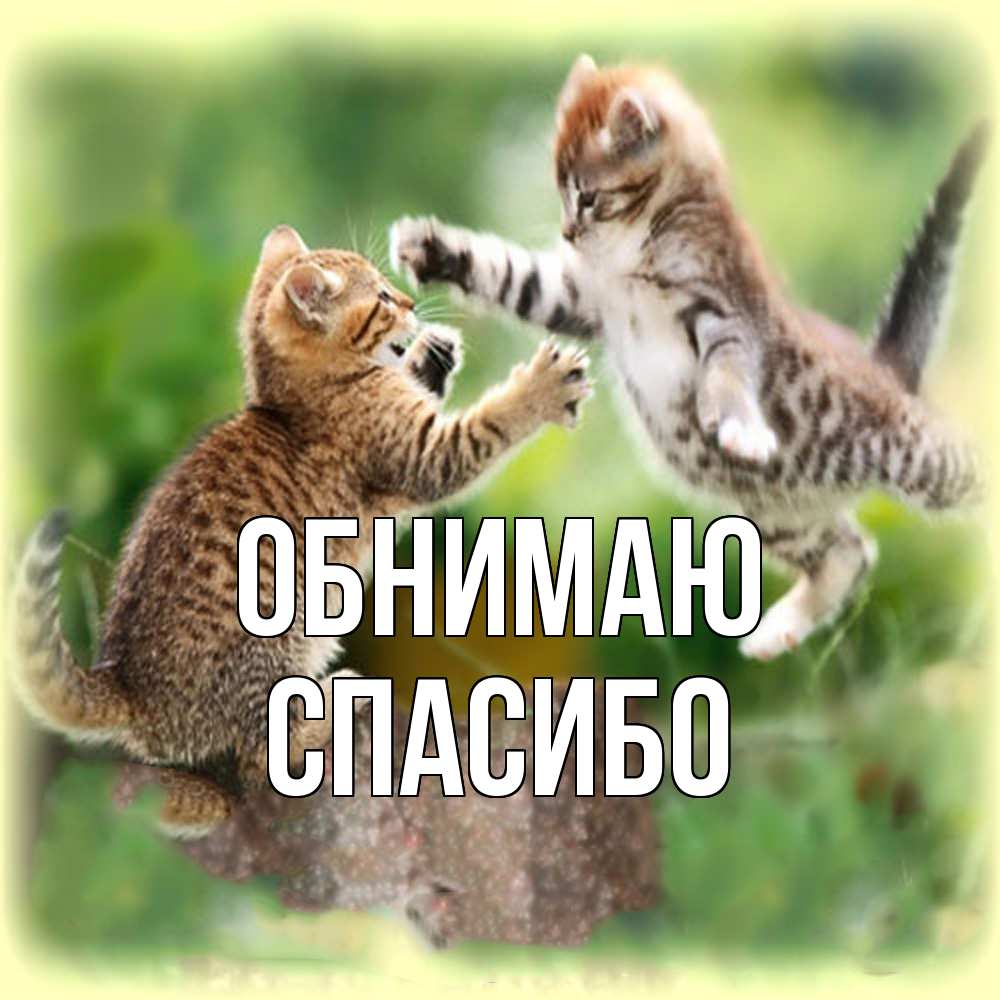 Открытка  с именем. СПАСИБО, Обнимаю  