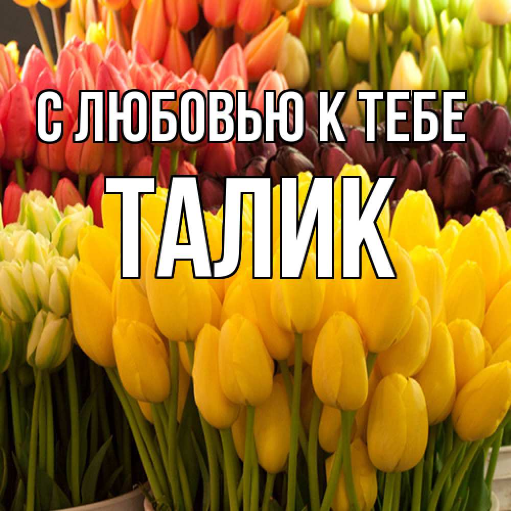 Открытка  с именем. Талик, С любовью к тебе  