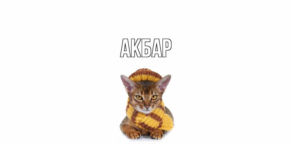 Открытка  с именем. Акбар, Главная  