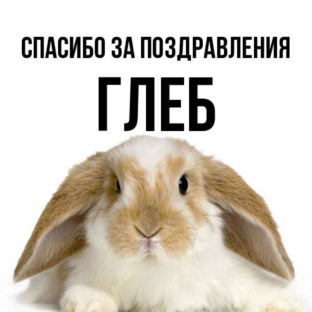 Открытка  с именем. Глеб, Спасибо за поздравления  