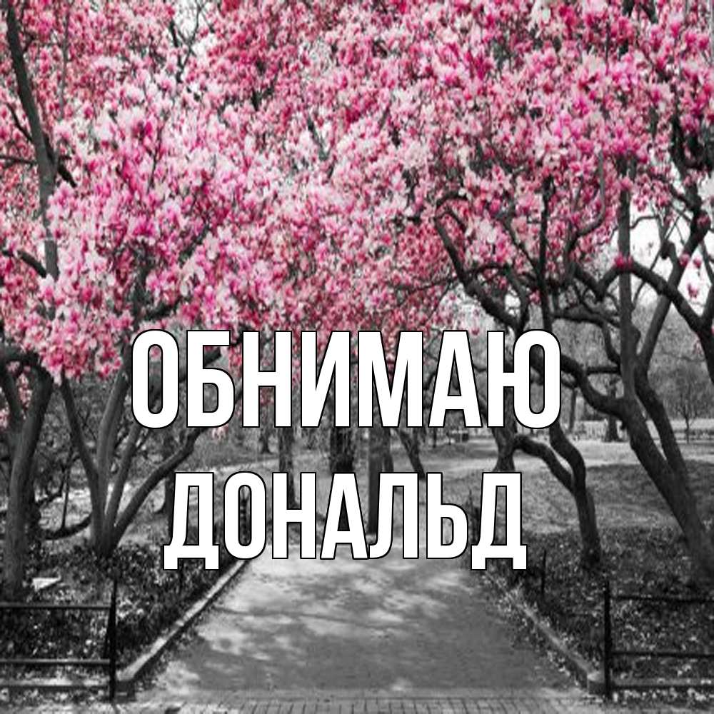 Открытка  с именем. Дональд, Обнимаю  