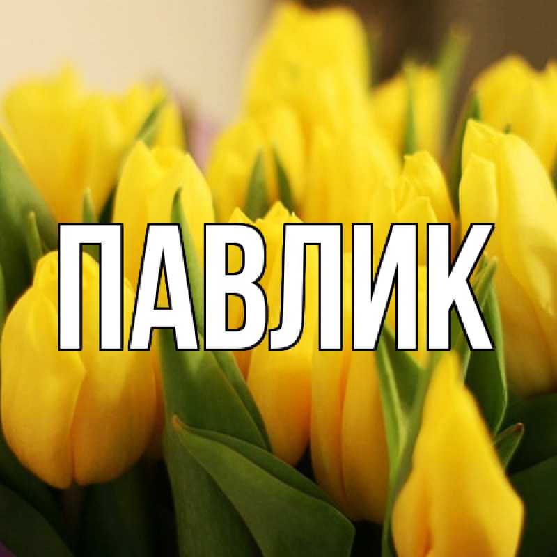 Картинка  с именем , Павлик