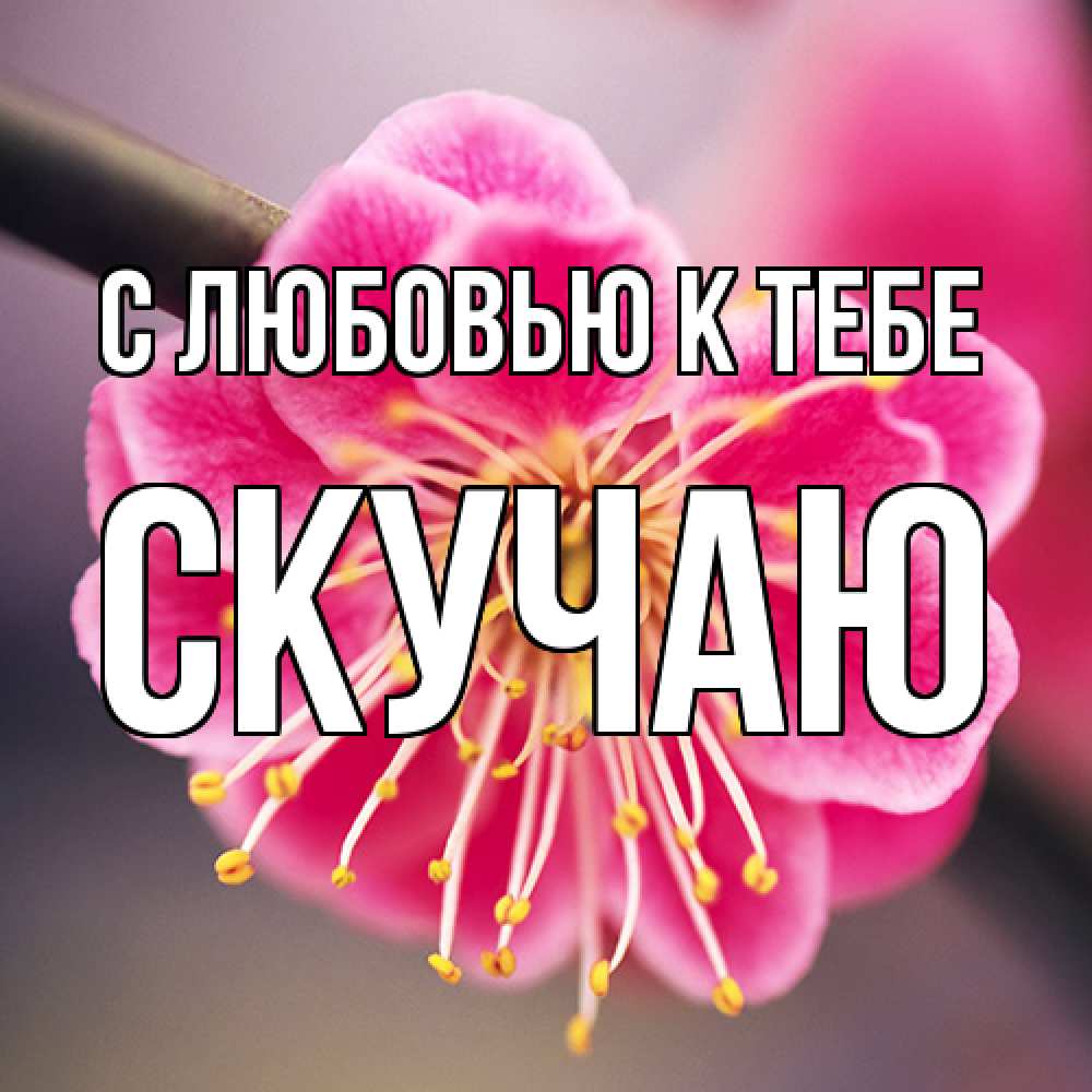 Открытка  с именем. Скучаю, С любовью к тебе  