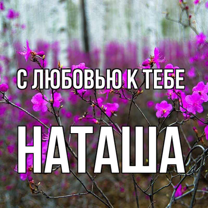 Картинка С любовью к тебе, Наташа