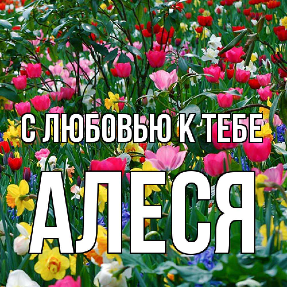 Открытка  с именем. Алеся, С любовью к тебе  
