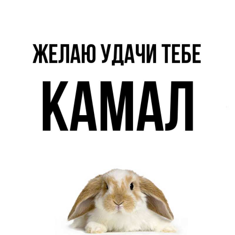 Картинка Желаю удачи тебе, Камал