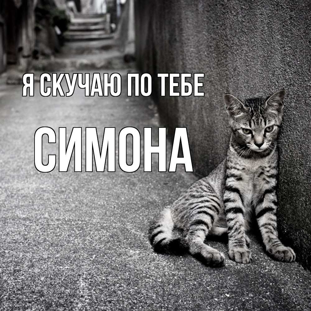 Открытка  с именем. Симона, Я скучаю по тебе  