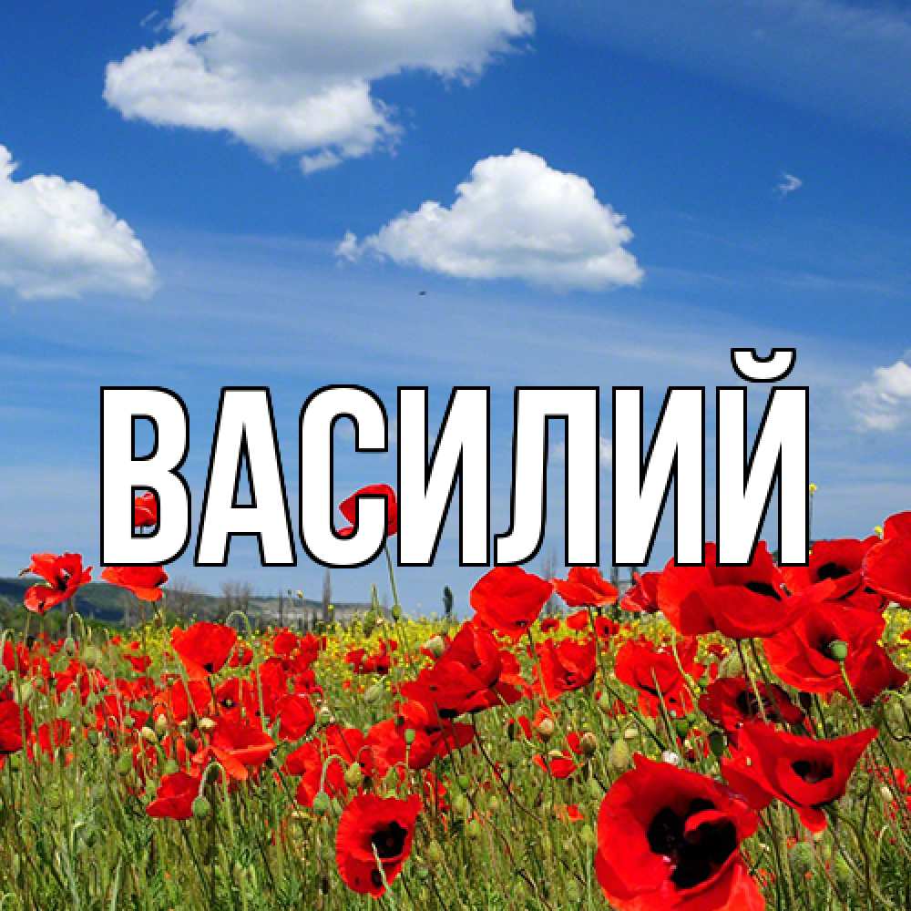 Открытка  с именем. Василий, Главная  