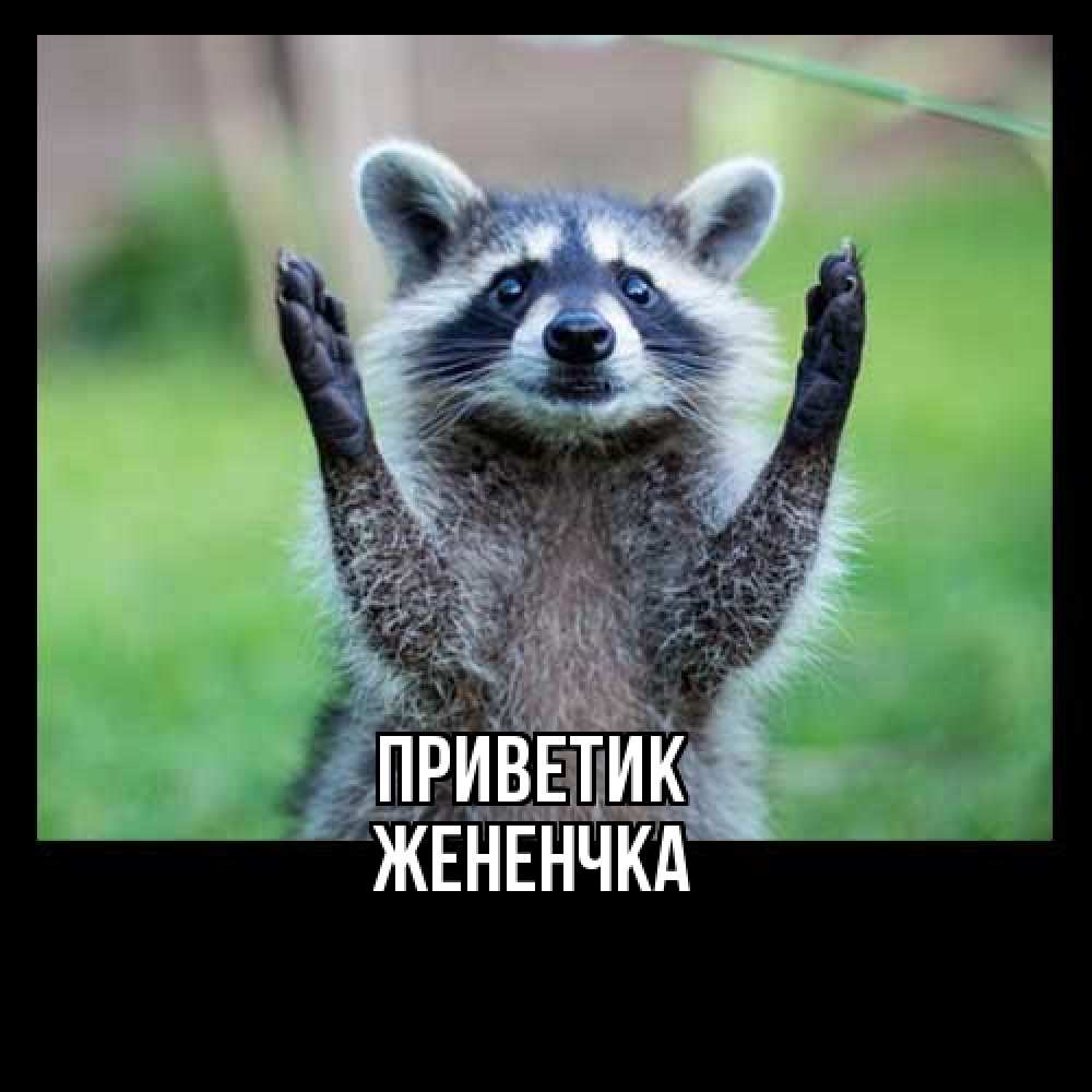 Открытка  с именем. Жененчка, приветик  