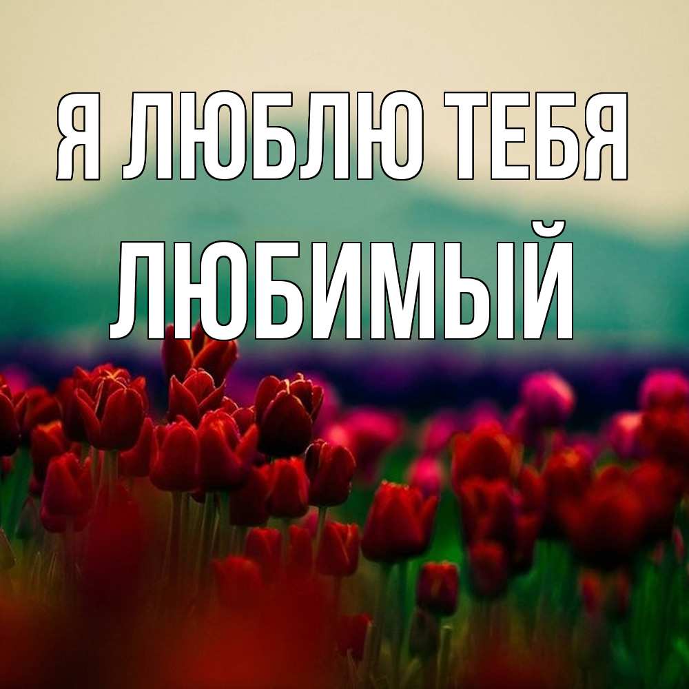 Открытка  с именем. Любимый, Я люблю тебя  