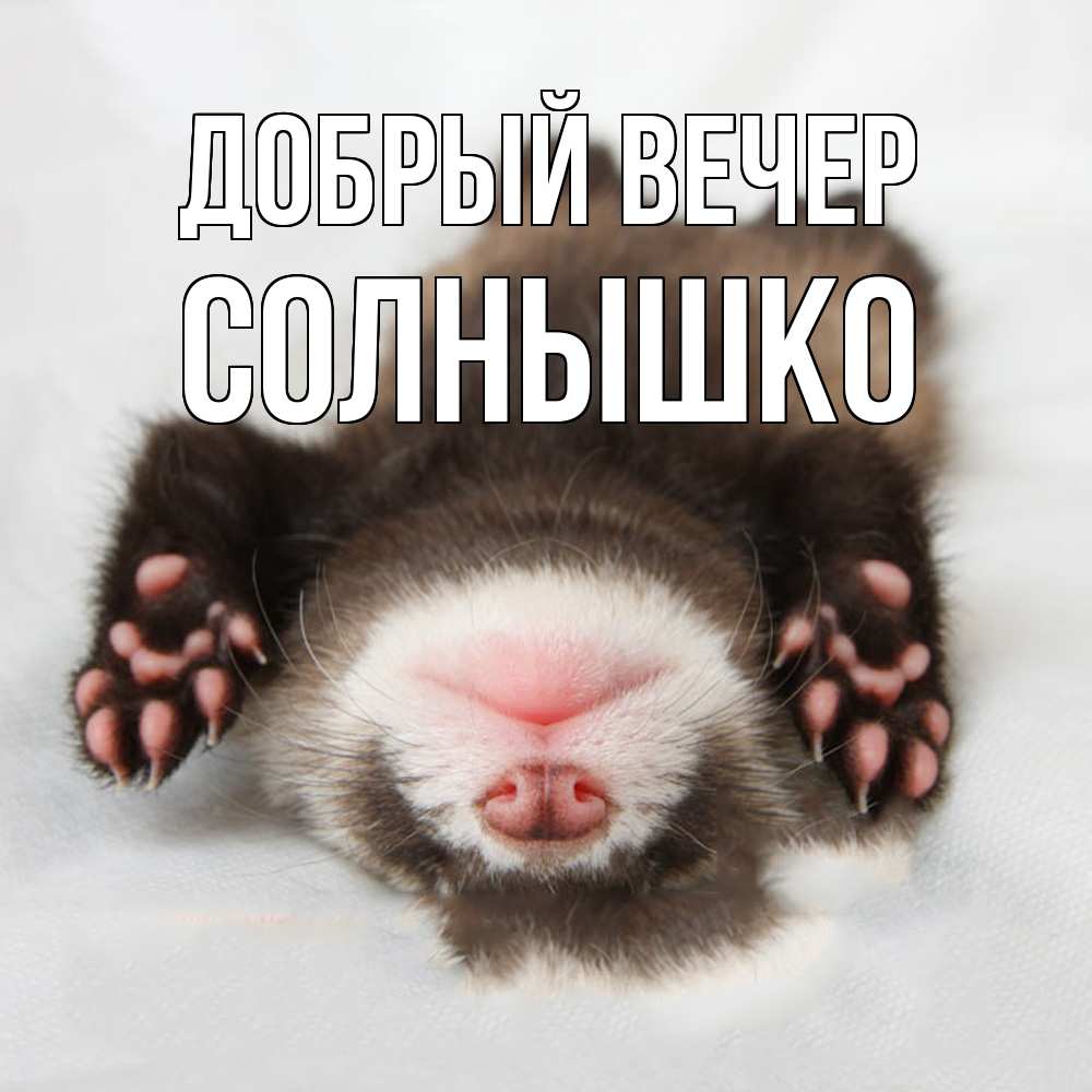 Открытка  с именем. Солнышко, Добрый вечер  