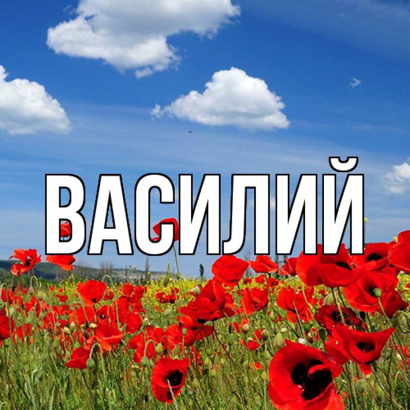 Картинка  с именем , Василий