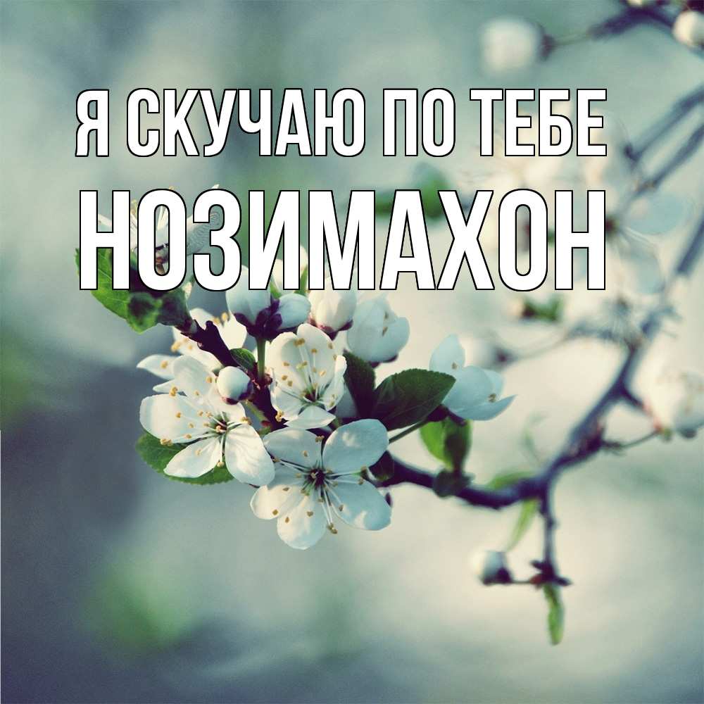 Открытка  с именем. Нозимахон, Я скучаю по тебе  