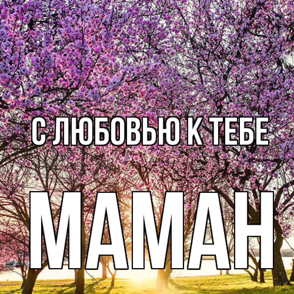 Открытка  с именем. Маман, С любовью к тебе  