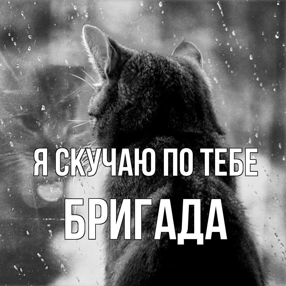 Открытка  с именем. Бригада, Я скучаю по тебе  