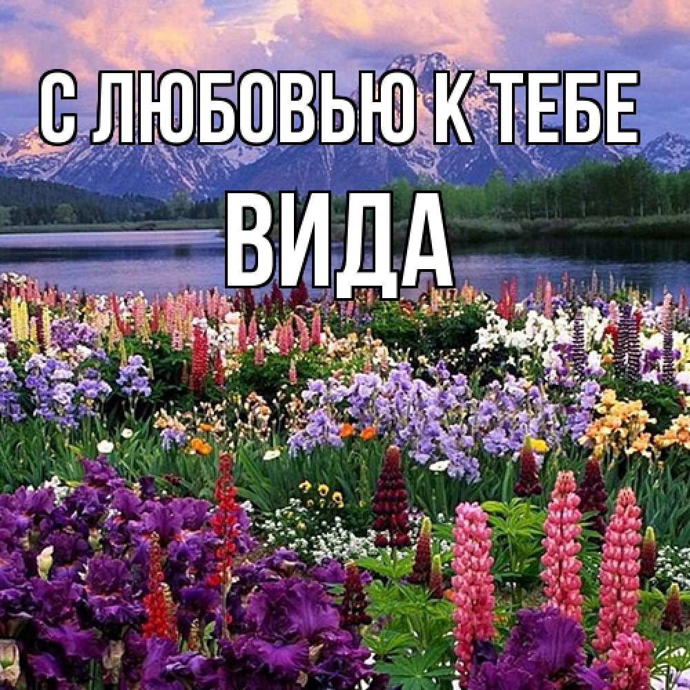 Открытка  с именем. Вида, С любовью к тебе  