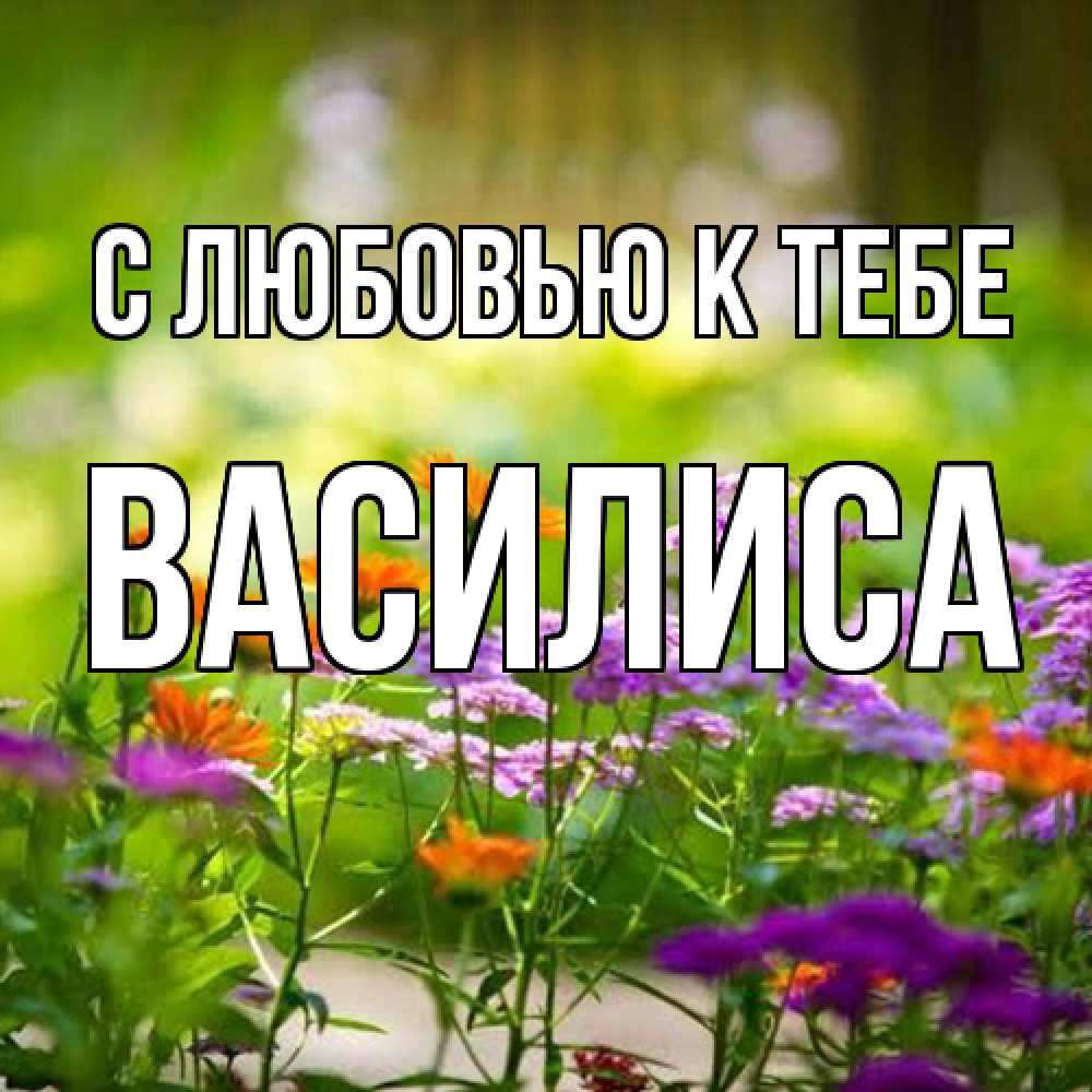 Открытка  с именем. Василиса, С любовью к тебе  