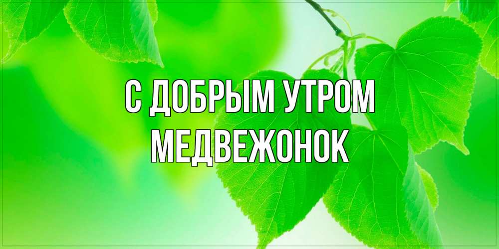 Открытка  с именем. Медвежонок, С добрым утром  