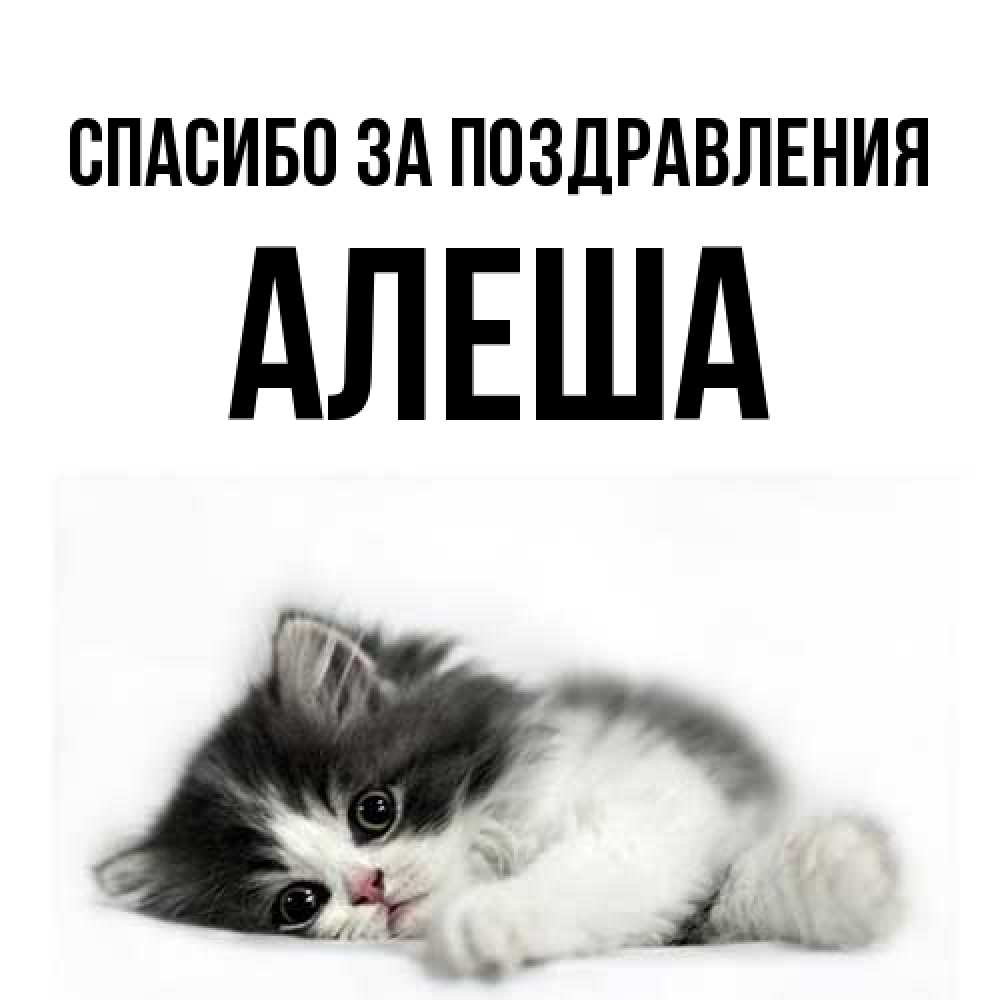 Открытка  с именем. Алеша, Спасибо за поздравления  