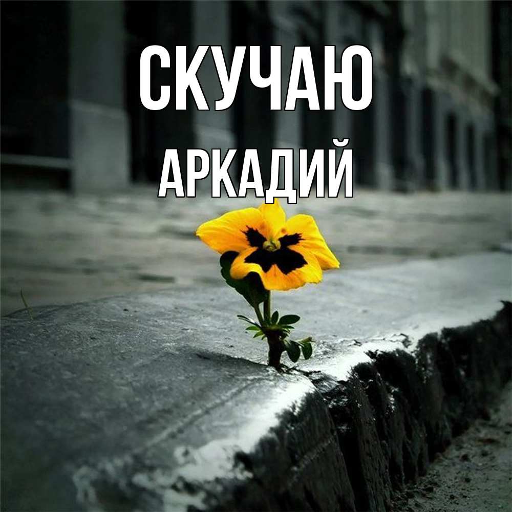Открытка  с именем. Аркадий, Скучаю  