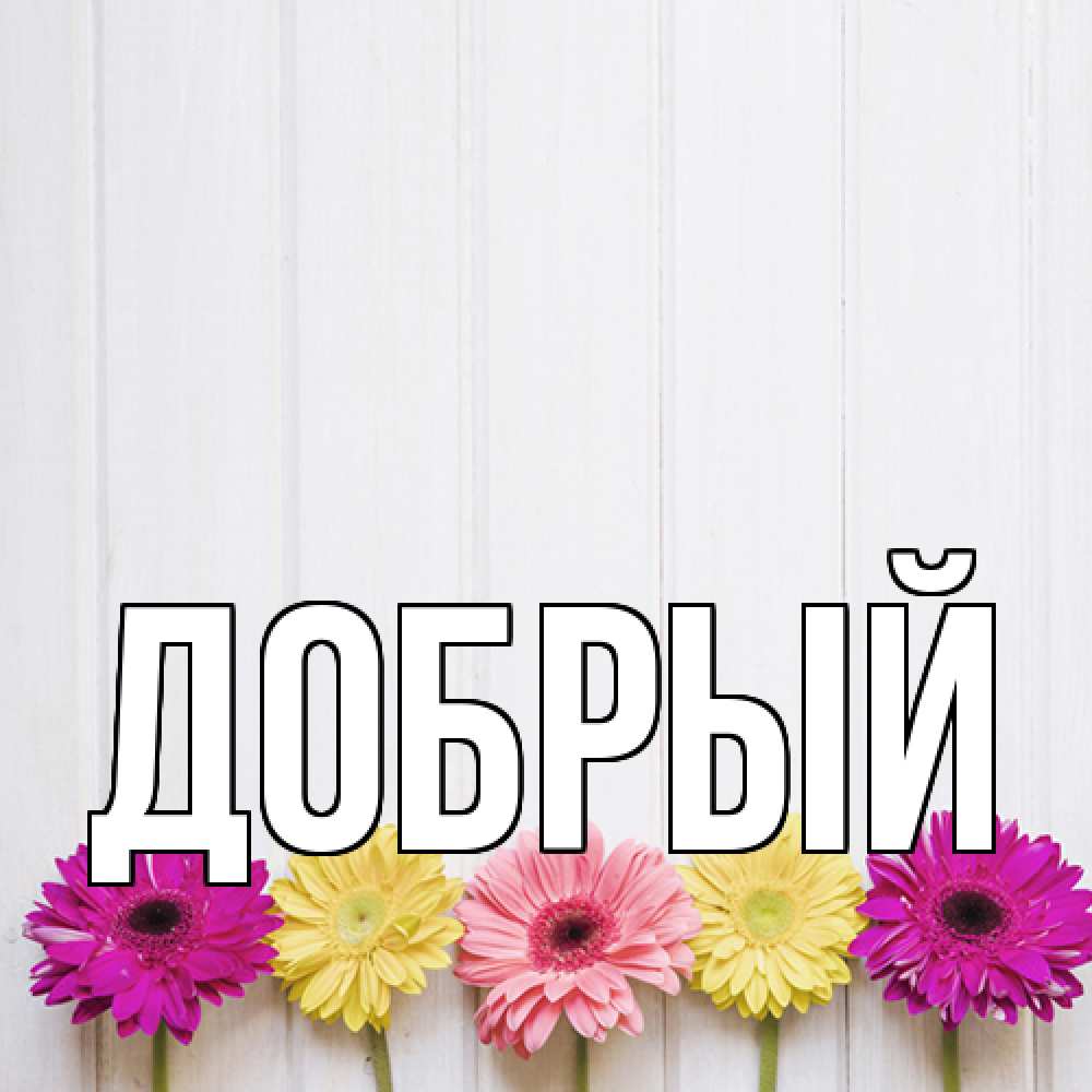 Открытка  с именем. Добрый, Главная  
