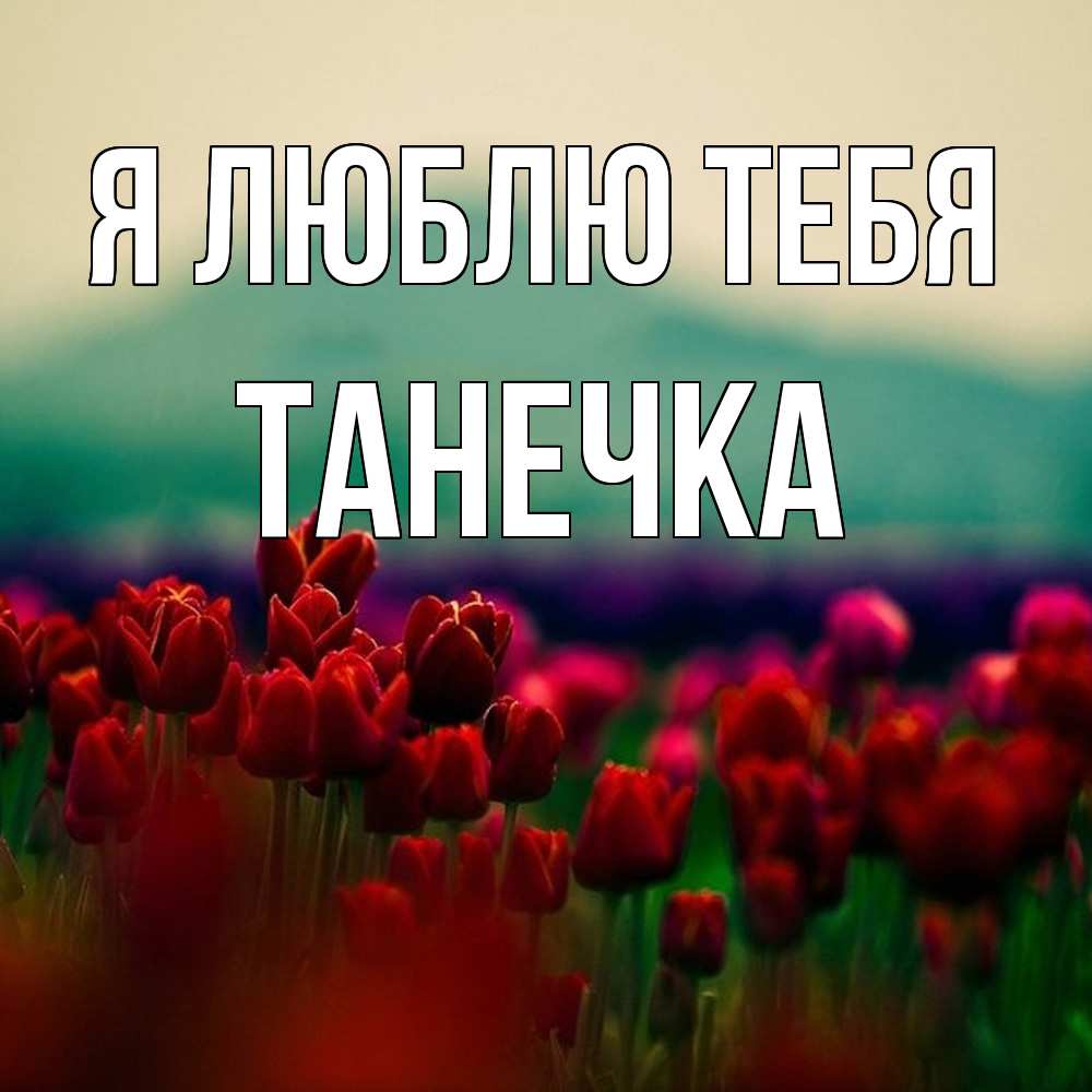 Открытка  с именем. Танечка, Я люблю тебя  