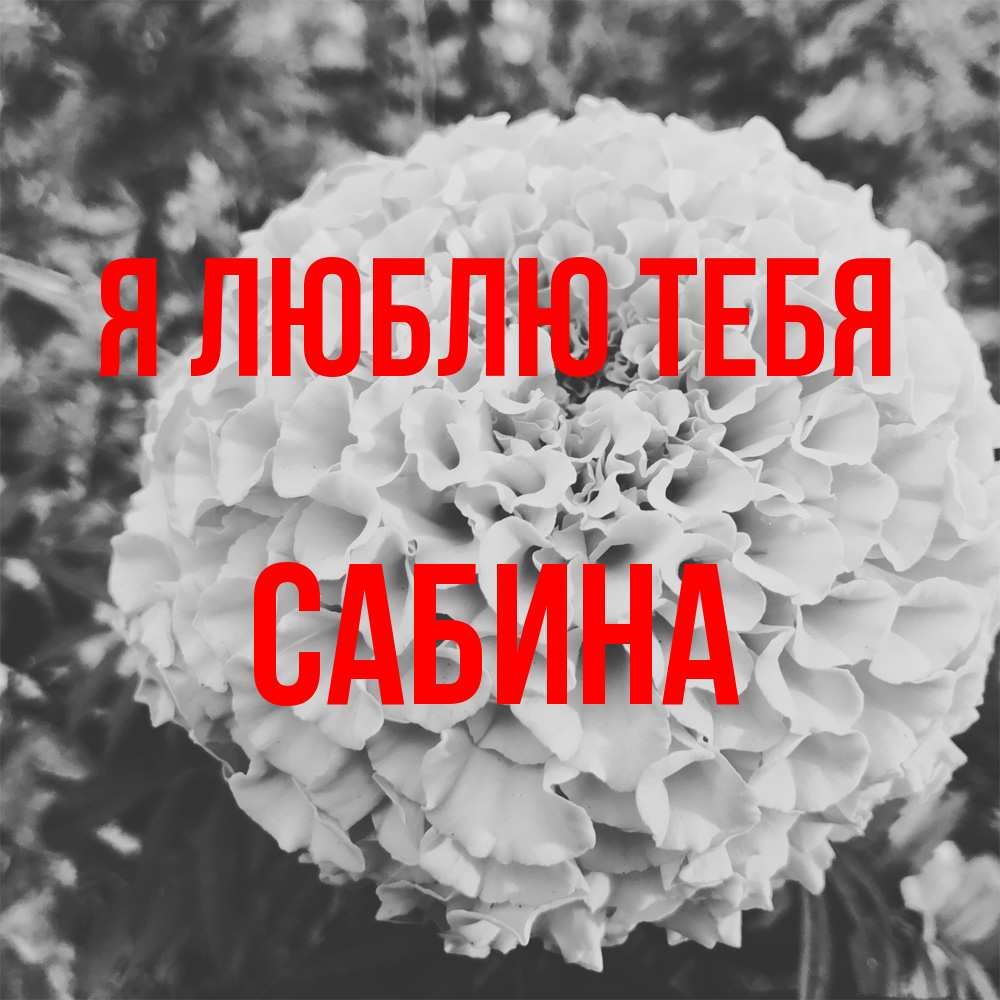 Открытка  с именем. Сабина, Я люблю тебя  