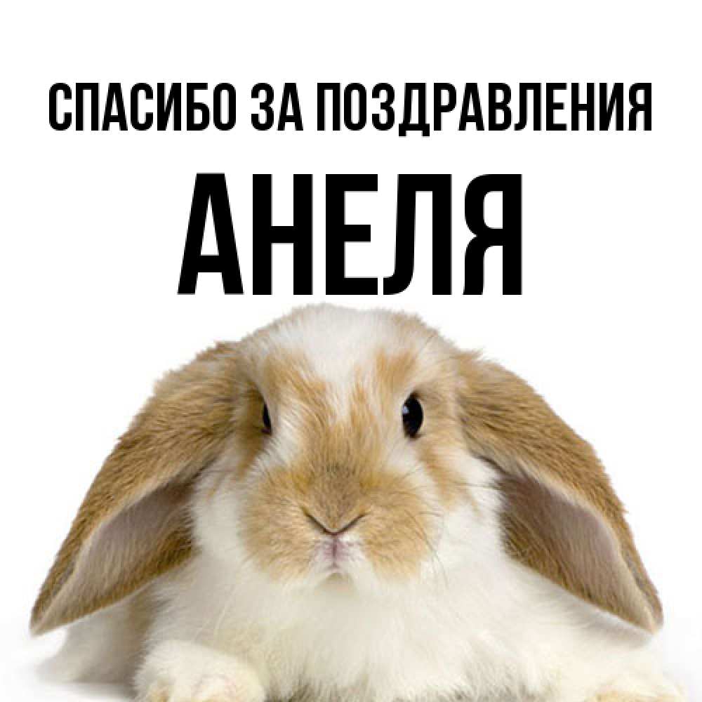 Открытка  с именем. Анеля, Спасибо за поздравления  