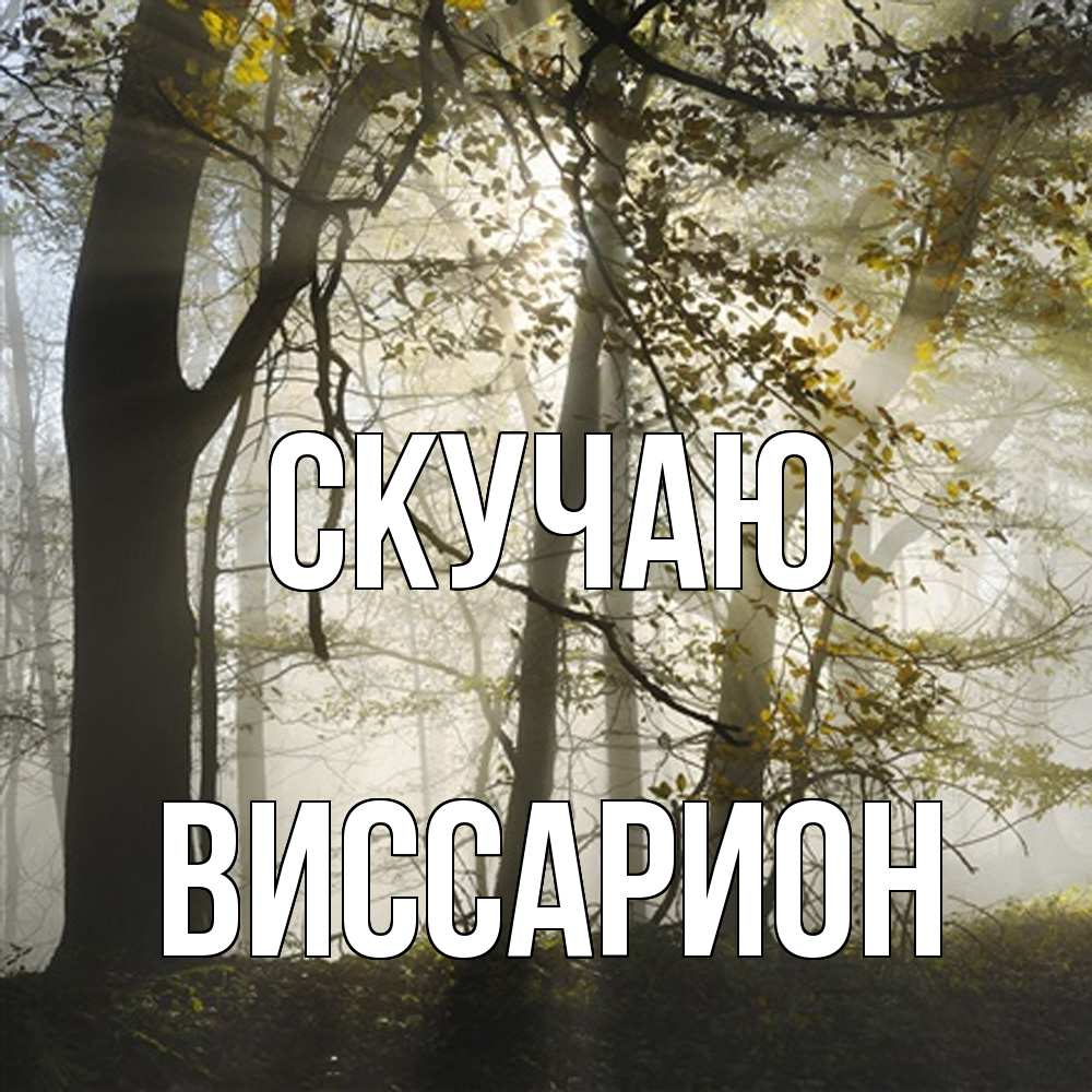 Открытка  с именем. Виссарион, Скучаю  