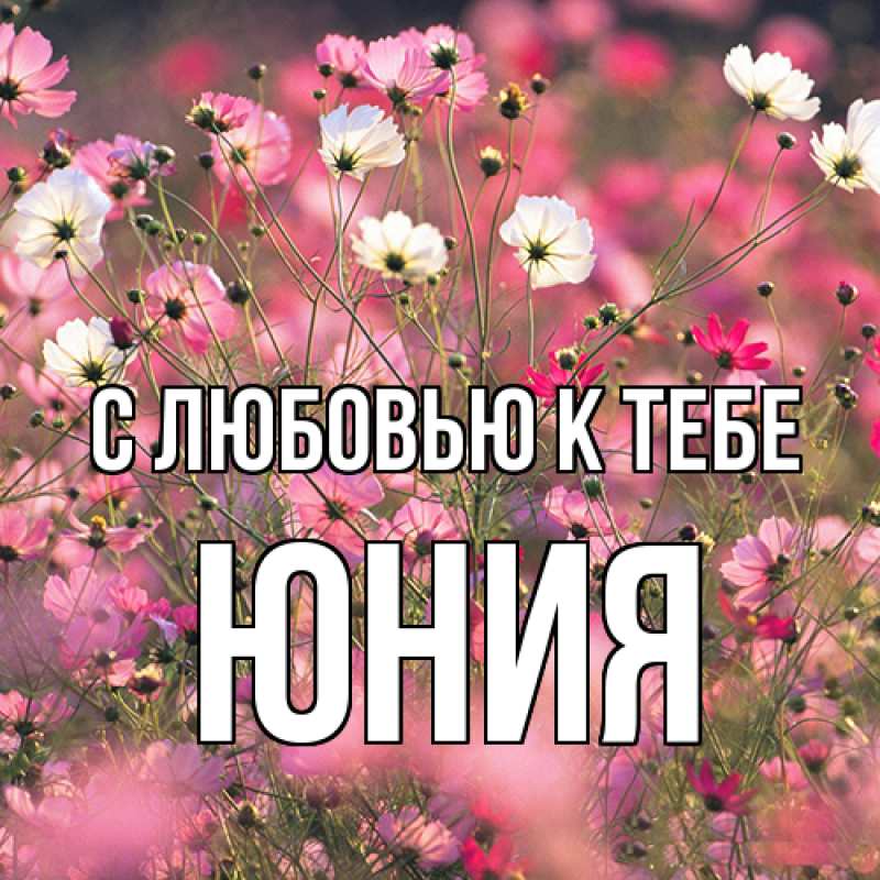 Картинка С любовью к тебе, Юния