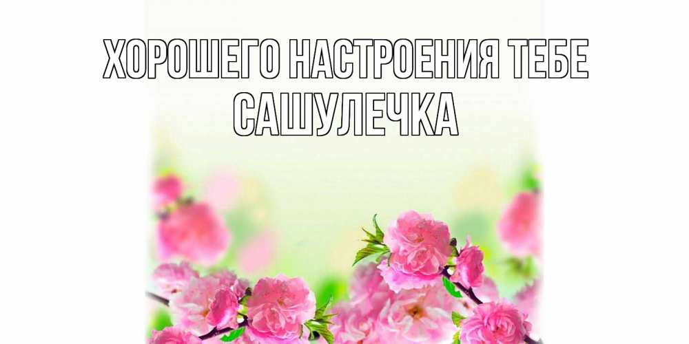 Открытка  с именем. Сашулечка, Хорошего настроения тебе  