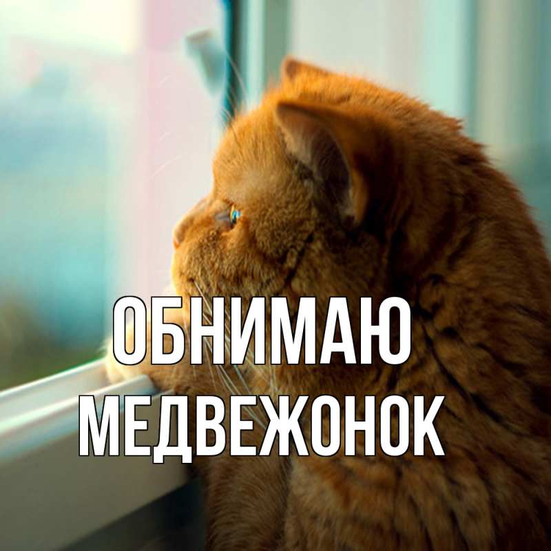 Картинка Обнимаю, Медвежонок