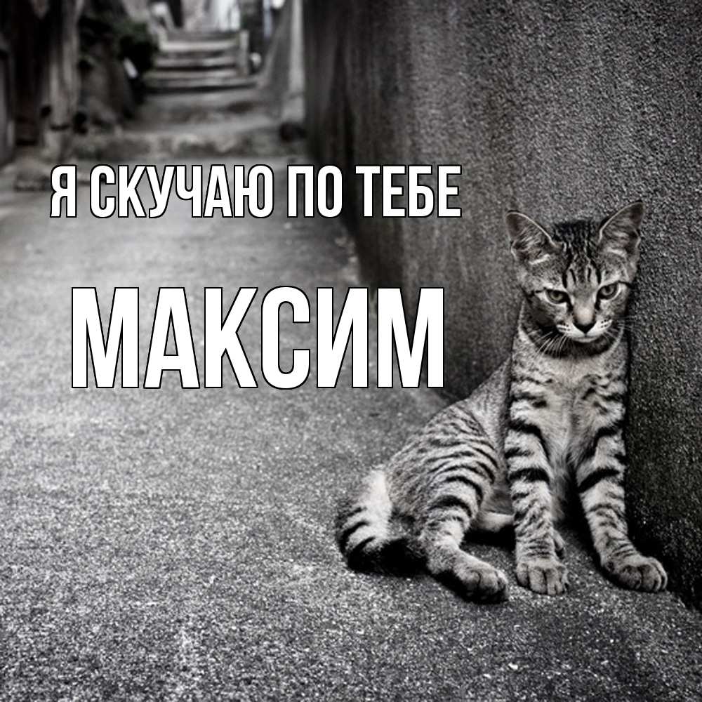 Открытка  с именем. Максим, Я скучаю по тебе  