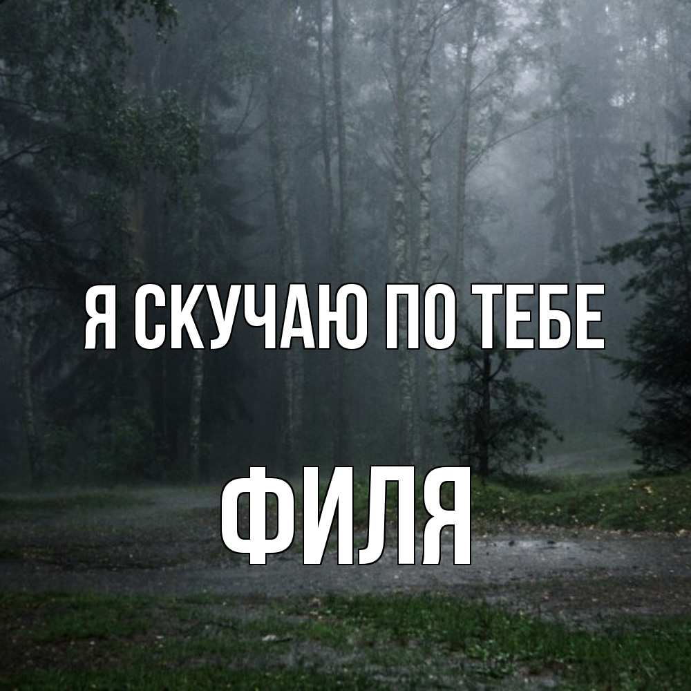 Открытка  с именем. Филя, Я скучаю по тебе  