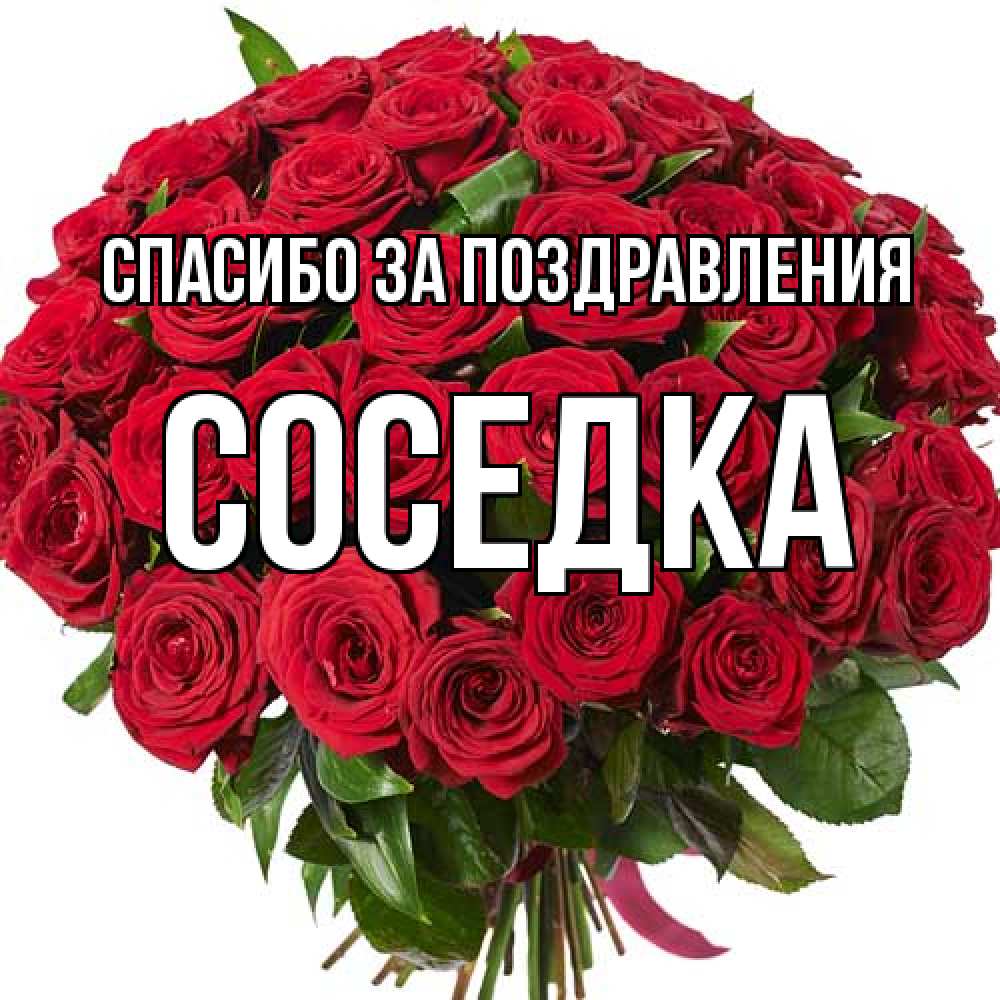 Соседка Завершились съемки комедийного сериала «Соседка» | АиФ Краснодар