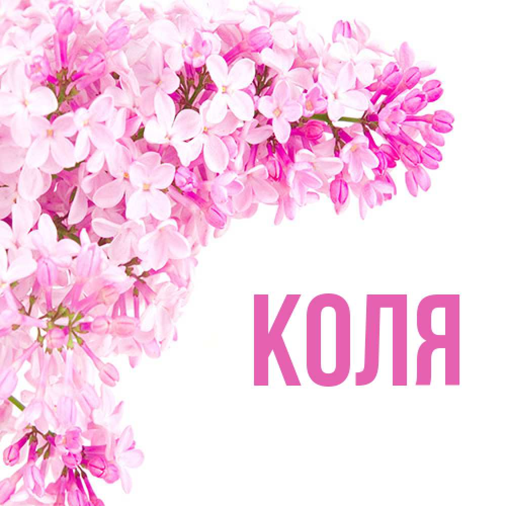 Открытка  с именем. коля, Главная  