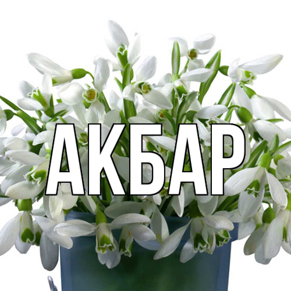 Открытка  с именем. Акбар, Главная  