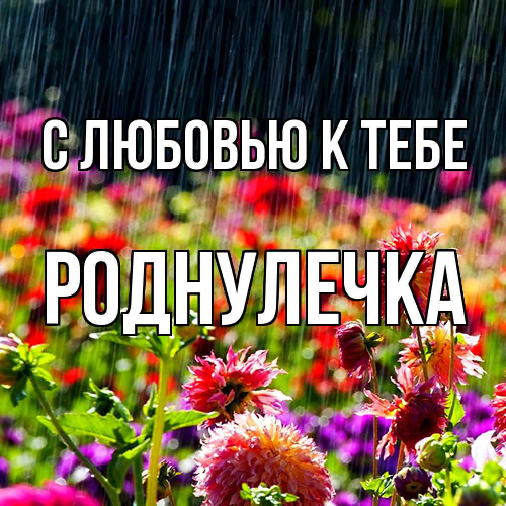 Открытка  с именем. Роднулечка, С любовью к тебе  