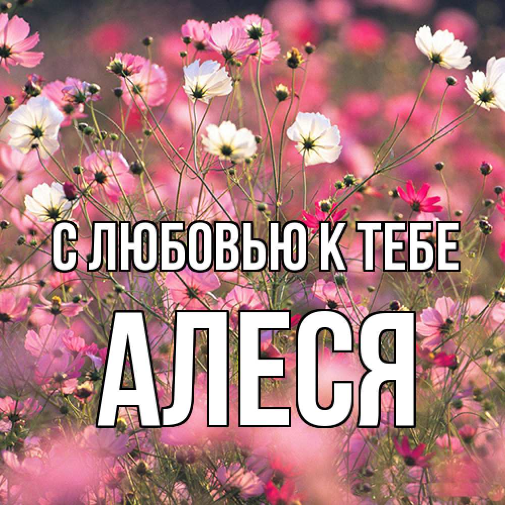 Открытка  с именем. Алеся, С любовью к тебе  