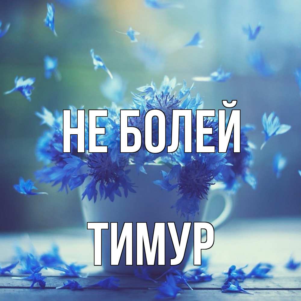 Открытка  с именем. Тимур, Не болей  
