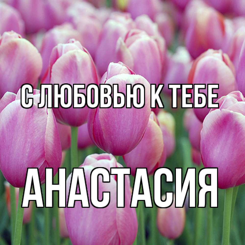 Открытка  с именем. Анастасия, С любовью к тебе  