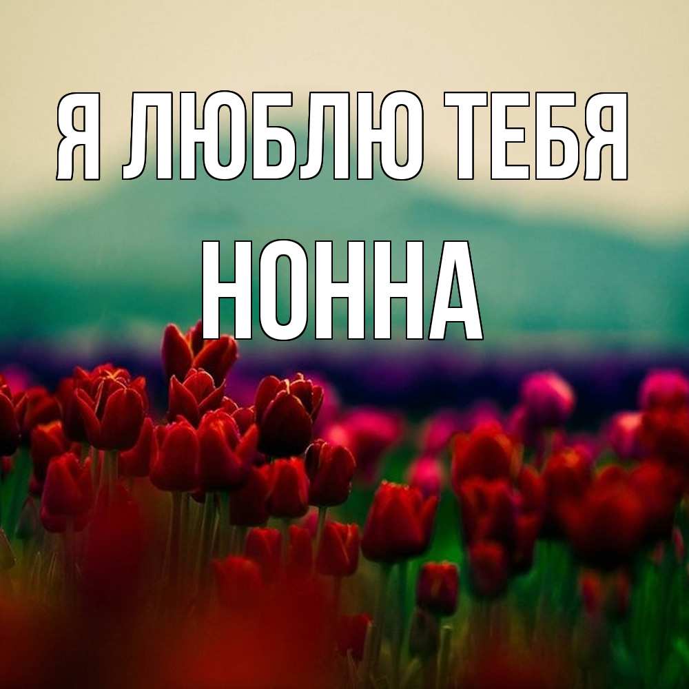 Открытка  с именем. Нонна, Я люблю тебя  