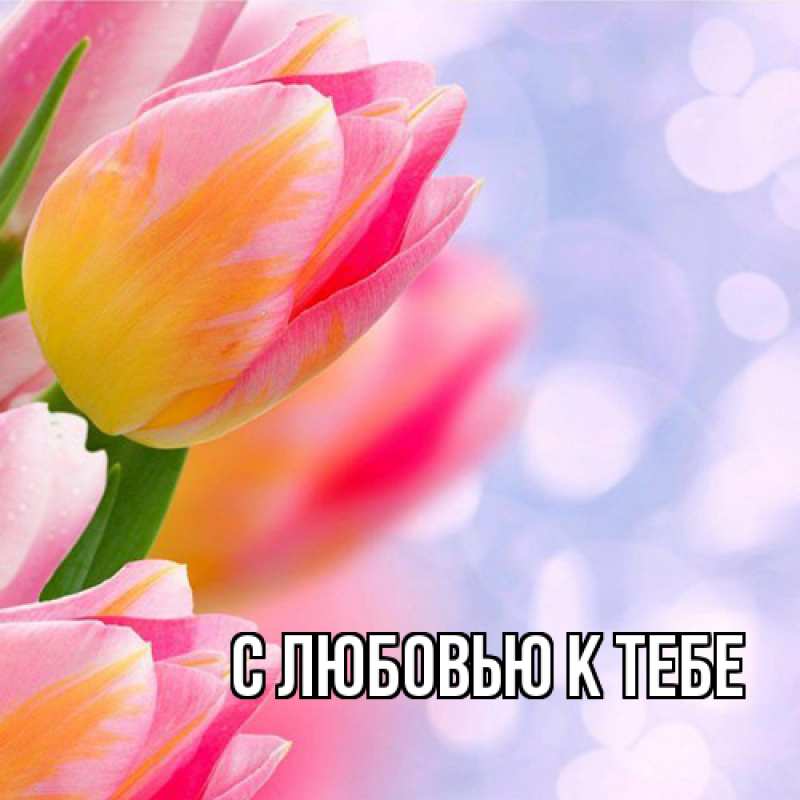 Картинка С любовью к тебе, 