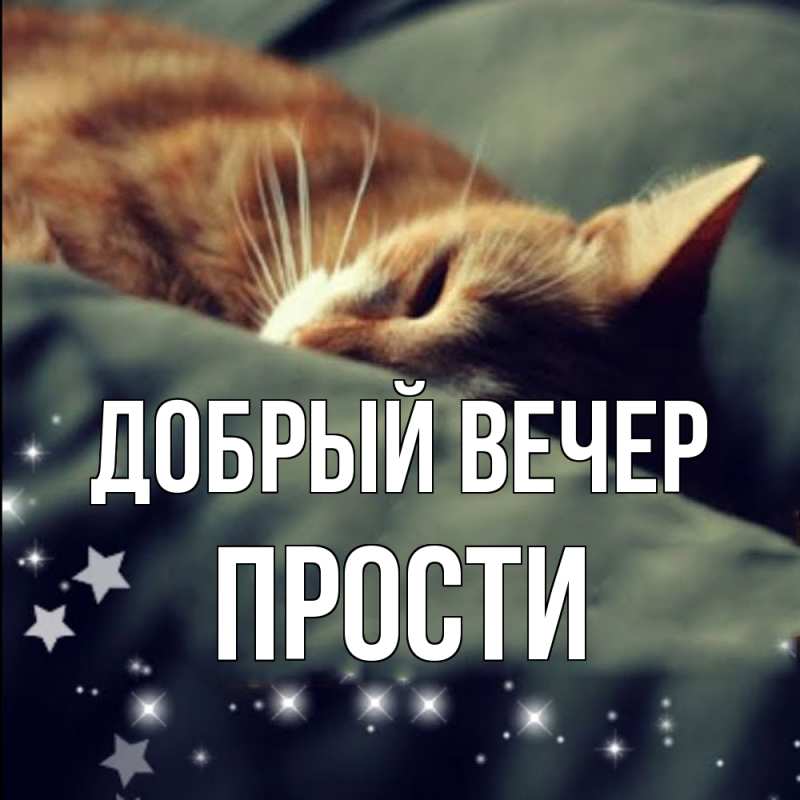 Открытка с именем, прости, Добрый вечер
